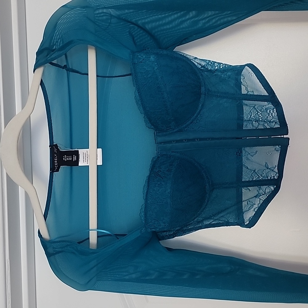 Sexy Sheer boostier top